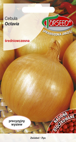 Nasiona Cebula Octavia OTOCZKA 200szt - Torseed