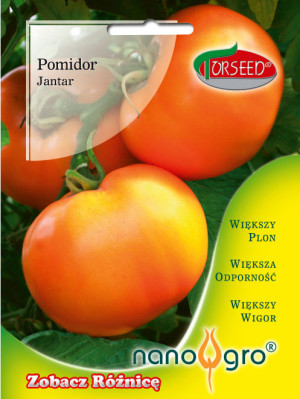 Nasiona Pomidor wysoki (pod osłony i do gruntu) Jantar NANO- Torseed