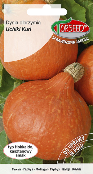 Nasiona Dynia olbrzymia Uchiki Kuri 2g - Torseed