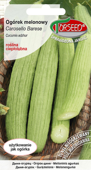 Nasiona Ogórek melonowy Carosello Barese 1g - Torseed
