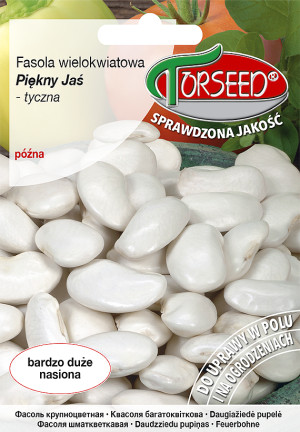 Nasiona Fasola wielokwiatowa Piękny Jaś 40g - Torseed