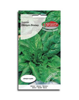 nasiona Szpinak Olbrzym Zimowy 10g - Torseed