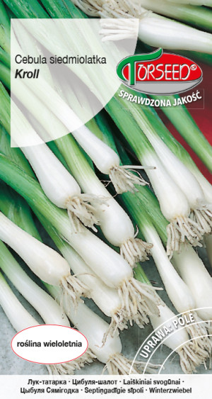 Nasiona Cebula Siedmiolatka Kroll 0,5g - Torseed