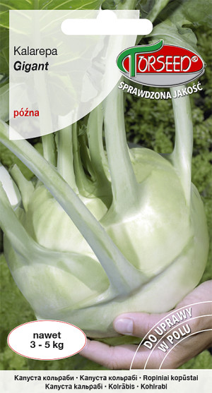 Nasiona Kalarepa Gigant 1g - Torseed