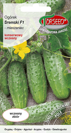 Nasiona Ogórek gruntowy konserwowy Śremski F1 2g - Torseed