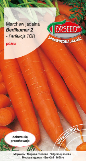 Nasiona Marchew jadalna Berlikumer 2 - Torseed