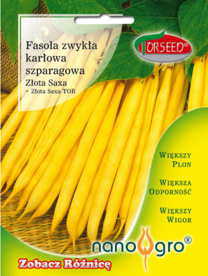 Nasiona Fasola karłowa żółta Złota Saxa NANO- Torseed