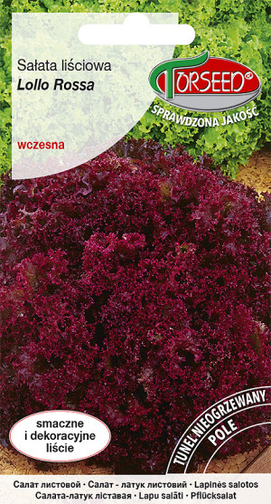Nasiona Sałata liściowa (do uprawy w polu) Lollo Rossa 0,5g - Torseed