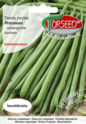 Nasiona Fasola karłowa szparagowa zielonostrąkowa Processor 30g - Torseed