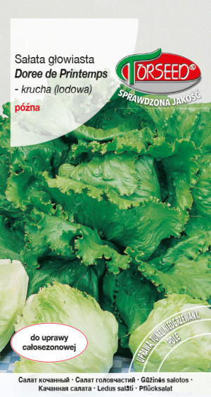 Nasiona Sałata głow krucha (do upr.w tunelu i w polu) Doree de Printemps 0,5g - Torseed