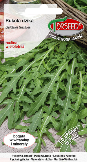 nasiona Rukola dzika Diplotaxis tenuifolia 0,5 g - Torseed