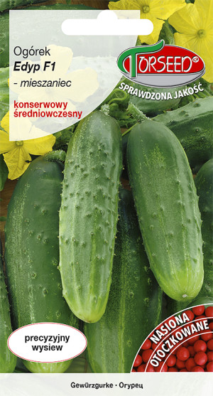 Nasiona Ogórek grunt. konserwowy Edyp F1 OTOCZKA 50szt - Torseed