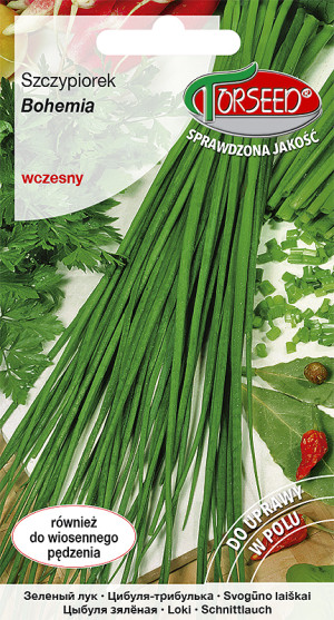 nasiona Szczypiorek Bohemia 1g - Torseed