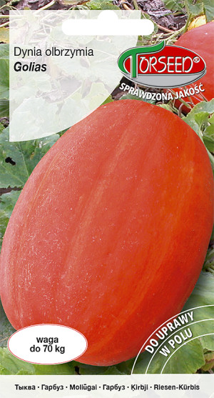 Nasiona Dynia olbrzymia Golias 3g - Torseed