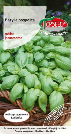Bazylia zielona, Ocinum basilicum 0,5g - Torseed