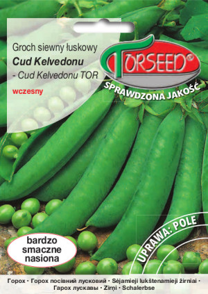 Nasiona Groch siewny łuskowy o nasionach pomarszczonych Cud Kelvedonu 50g - Torseed