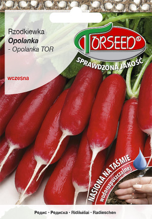 Nasiona Rzodkiewka (do upr.pod osł.i w polu) Opolanka TAśMA 165szt - Torseed