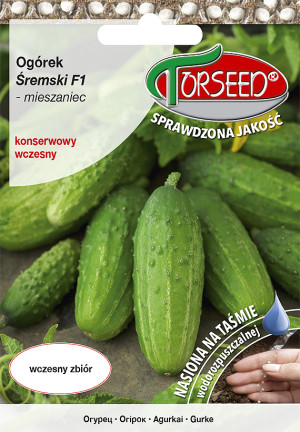 Ogórek gruntowy nasiona konserwowy Śremski F1 TAŚMA 5g - Torseed