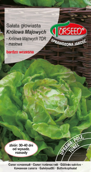 Nasiona Sałata głow.masł.(do upr.w tun.i w polu) Królowa Majowych 2g - Torseed