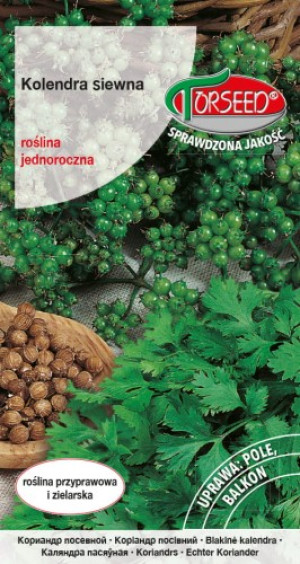 Nasiona Kolendra siewna, Coriandrum sativum 2g - Torseed