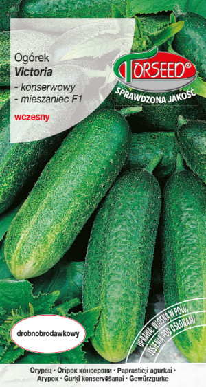 Nasiona Ogórek gruntowy konserwowy Victoria F1 5g - Torseed