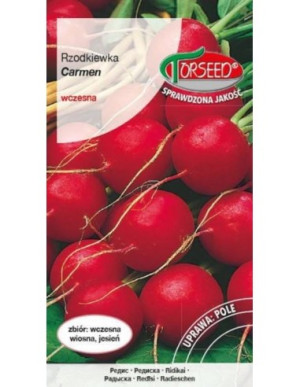 Nasiona Rzodkiewka Carmen 10g - Torseed