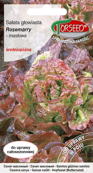 Nasiona Sałata głow.masł.(do upr.w tun.i w polu) Rosemarry 0,5g - Torseed