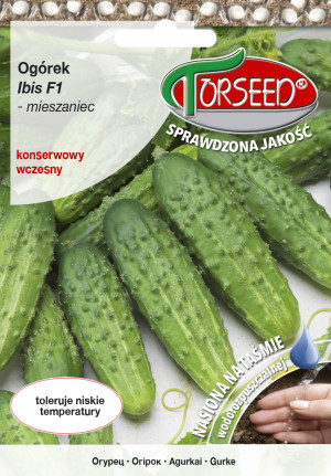Nasiona Ogórek gruntowy konserwowy Ibis F1 TAŚMA 40szt - Torseed