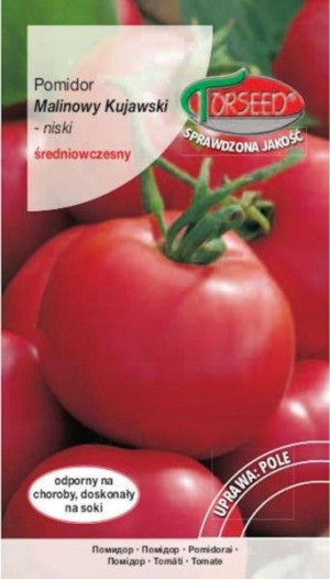 Nasiona Pomidor Malinowy Kujawski 0,5g - Torseed