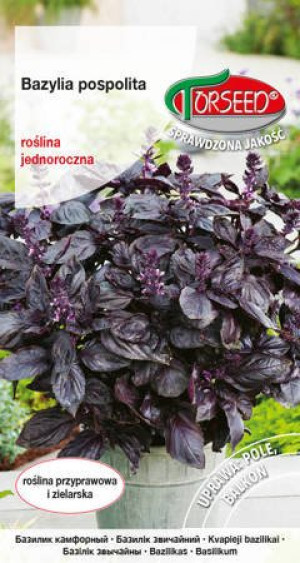 nasiona Bazylia czerwona, Ocinum basilicum 0,2g - Torseed