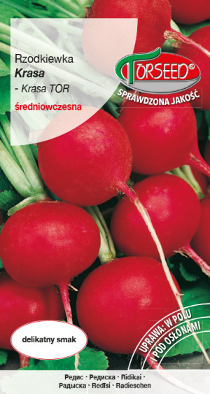 Nasiona Rzodkiewka Krasa 10g - Torseed