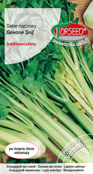 Nasiona Seler naciowy Gewone Snij 0,2g - Torseed