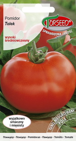 Nasiona Pomidor wysoki Tolek 0,1g - Torseed