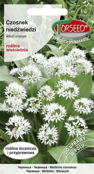 Czosnek niedźwiedzi, Allium ursinum 0,5 g - Torseed