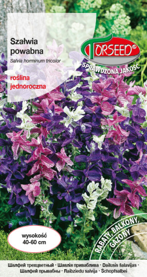 Nasiona Szałwia powabna mieszanka - Torseed