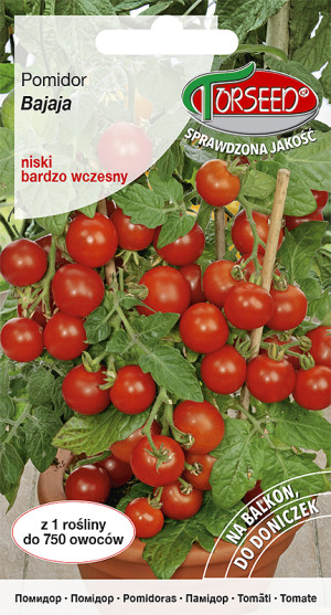 Nasiona Pomidor czereśniowy - Torseed