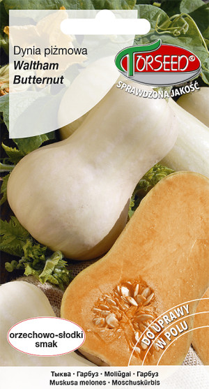 Nasiona Dynia piżmowa Waltham Butternut 3g - Torseed
