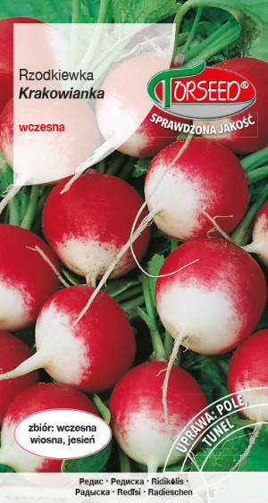 Nasiona Rzodkiewka Krakowianka 10g - Torseed