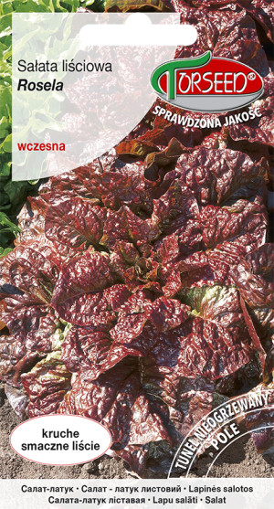 Nasiona Sałata liściowa (do uprawy w polu) Rosela 0,5g - Torseed