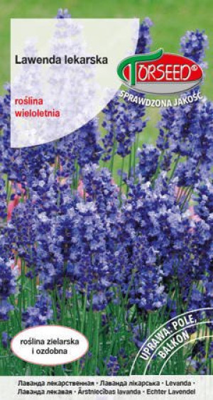 nasiona Lawenda lekarska, Lavandula officinalis 0,2g - Torseed