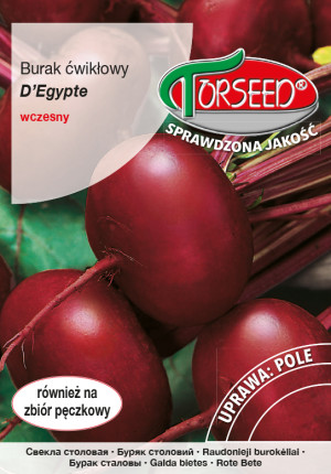 Nasiona Burak ćwikłowy D'Egypte 15g - Torseed