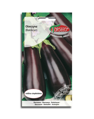 nasiona Oberżyna Black Beauty 0,5g - Torseed