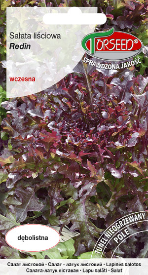 Nasiona Sałata liściowa (do uprawy w polu) Redin 0,5g - Torseed