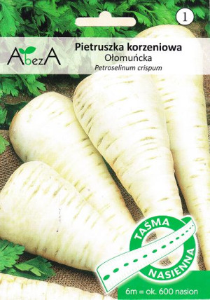 Nasiona Pietruszka korzeniowa Ołomuńcka TAŚMA 600szt - Torseed