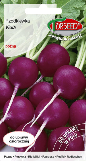 Nasiona Rzodkiewka (do uprawy w polu) Viola 5g - Torseed
