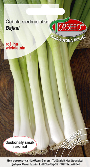 Nasiona Cebula Siedmiolatka Bajkal 0,5g - Torseed
