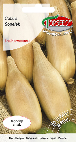 Nasiona Cebula Sopelek 2g - Torseed