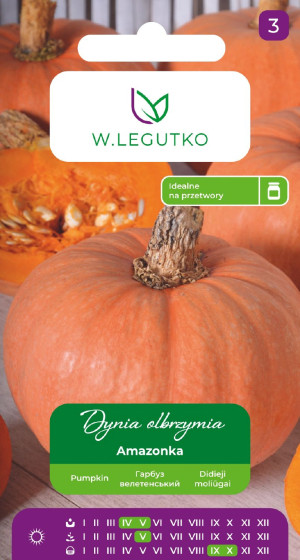 Nasiona Dynia olbrzymia Amazonka 3g - W.Legutko