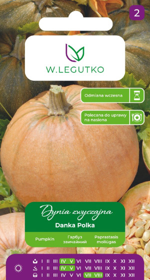 Nasiona Dynia zwyczajna Danka Polka 3g - W.Legutko