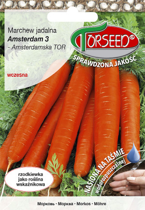 Nasiona Marchew jad. Amsterdam 3 - Amsterdamska TOR TAŚMA 300szt - Torseed